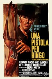 Una pistola para Ringo poster