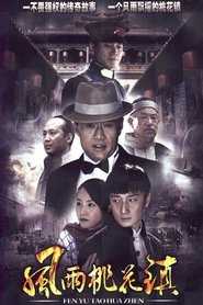 风雨桃花镇 (2011)