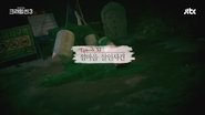 The Island Village Murder Case
