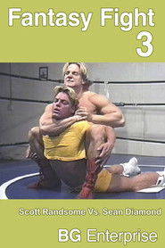 Fantasy Fight 3