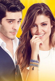 Love Doesn't Understand Words poster
