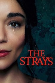 Poster The Strays