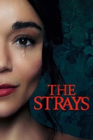 Poster The Strays 2023
