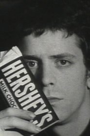 Poster Screen Test [ST270]: Lou Reed (Hershey)