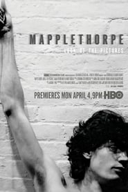 Mapplethorpe: Look at the Pictures постер