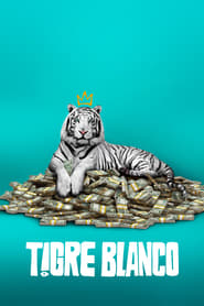 The White Tiger poster