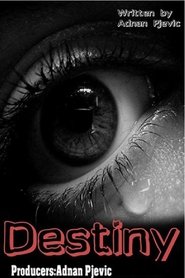 Poster Destiny 2014