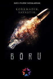 Boru постер