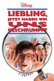 Liebling, jetzt haben wir uns geschrumpft (1997)