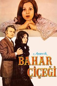 Poster Ayşecik: Bahar Çiçeği 1971
