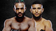 UFC Fight Night 274: Sterling vs. Zalal