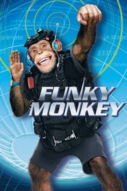 Le singe funky Le singe funky