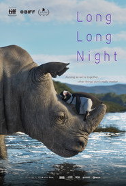 Long Long Night постер