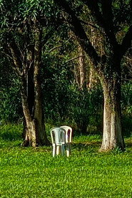 Cinema em Perspectiva