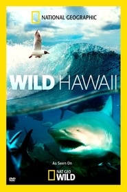 Wild Hawaii постер