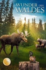 Poster Wunder des Waldes 3D: Tales of a Forest