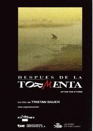 Poster Después de la tormenta 1991