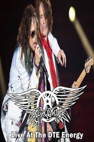 Poster Aerosmith Live In Detroit Proshot