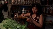 Ayahuasca Diary 2009 Aksè gratis san limit