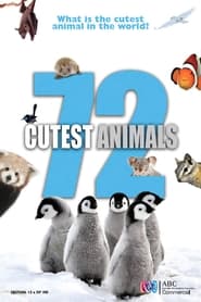 72 Cutest Animals постер