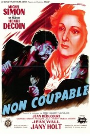 Film Non coupable streaming