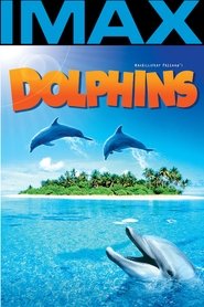 Dolphins 2000