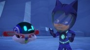 Commander Meow