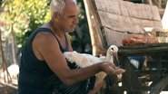 Силјан 2025 Δωρεάν απεριόριστη πρόσβαση