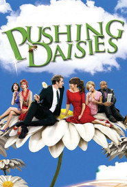 Pushing Daisies poster