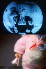 The Night Could Last Forever