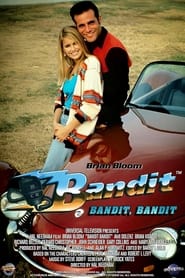 Poster Bandit