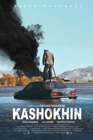 Kashokhin (2019)