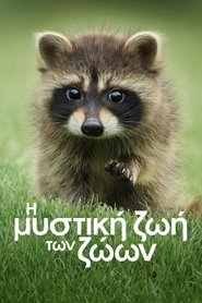 Η Μυστική Ζωή των Ζώων