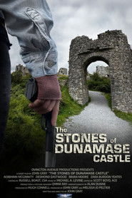 The Stones of Dunamase Castle
