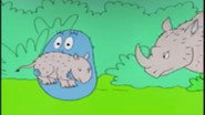 Les rhinocéros