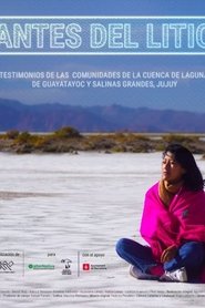 Antes del litio