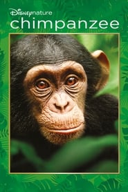 Poster for Chimpanzee