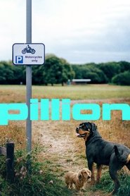 Pillion 2025 Безплатен неограничен достъп