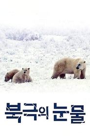 Poster 북극의 눈물