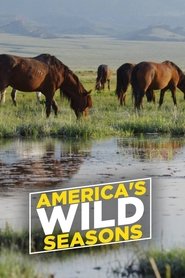 America's Wild Seasons Episode Rating Graph poster