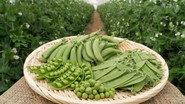 Peas