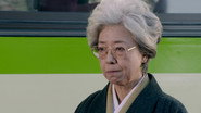 The Magician's Grandmother