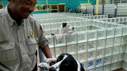 Episode 10: Rescued Just in Time