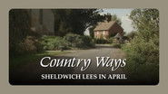 Sheldwich Lees in April