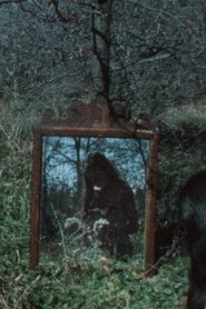 Poster Mirage 1974
