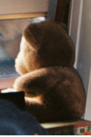 The Room Left Behind