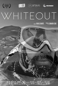 Poster Whiteout