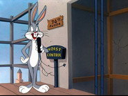 Homeless Hare