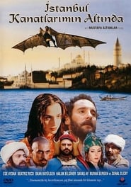 Poster İstanbul Kanatlarımın Altında