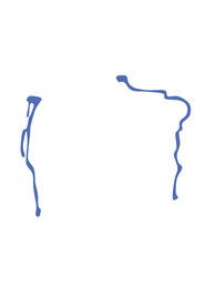 social justice whatever (2017)